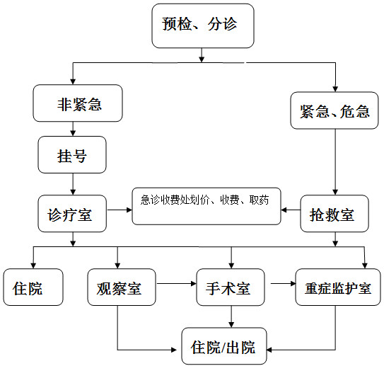 急诊就诊流程